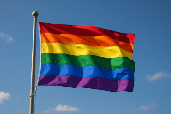 LGBTQ flag